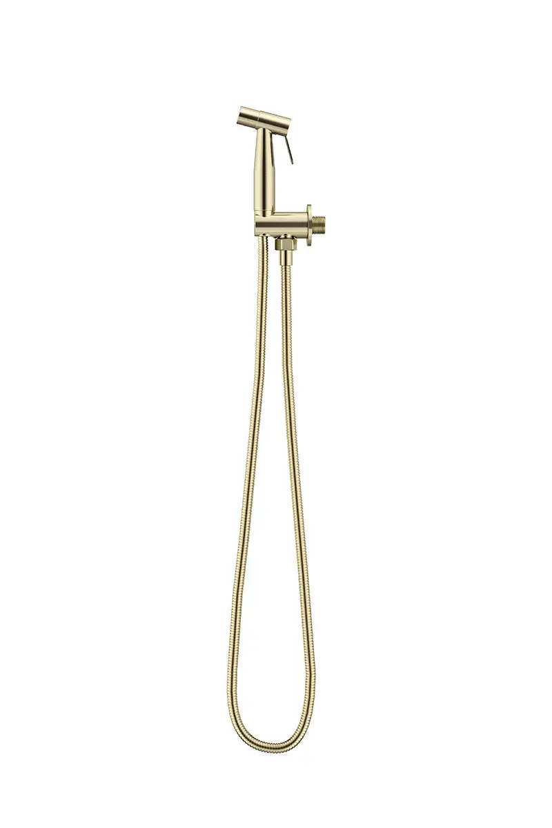 HAND BIDET WITH HAND PIECE, BRACKET & HOSE